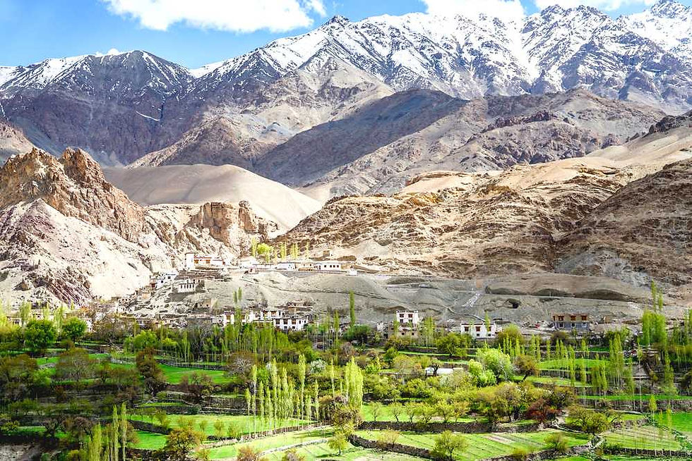 Miniatura: Tour Ladakh-Kargil (9N/10D)