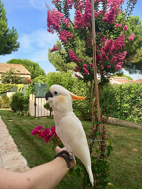 IMG_6446.jpeg