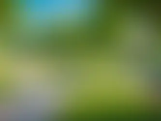 "Unraveling the Effects: How Government Legislation Shapes Your Local Community