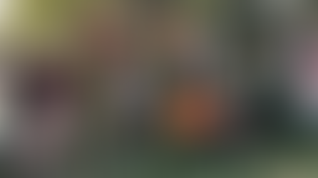 June 2024 Newsletter