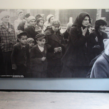 Auschwitz 1- Hungarian Jews Arriving