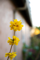 DSC_9124.jpg