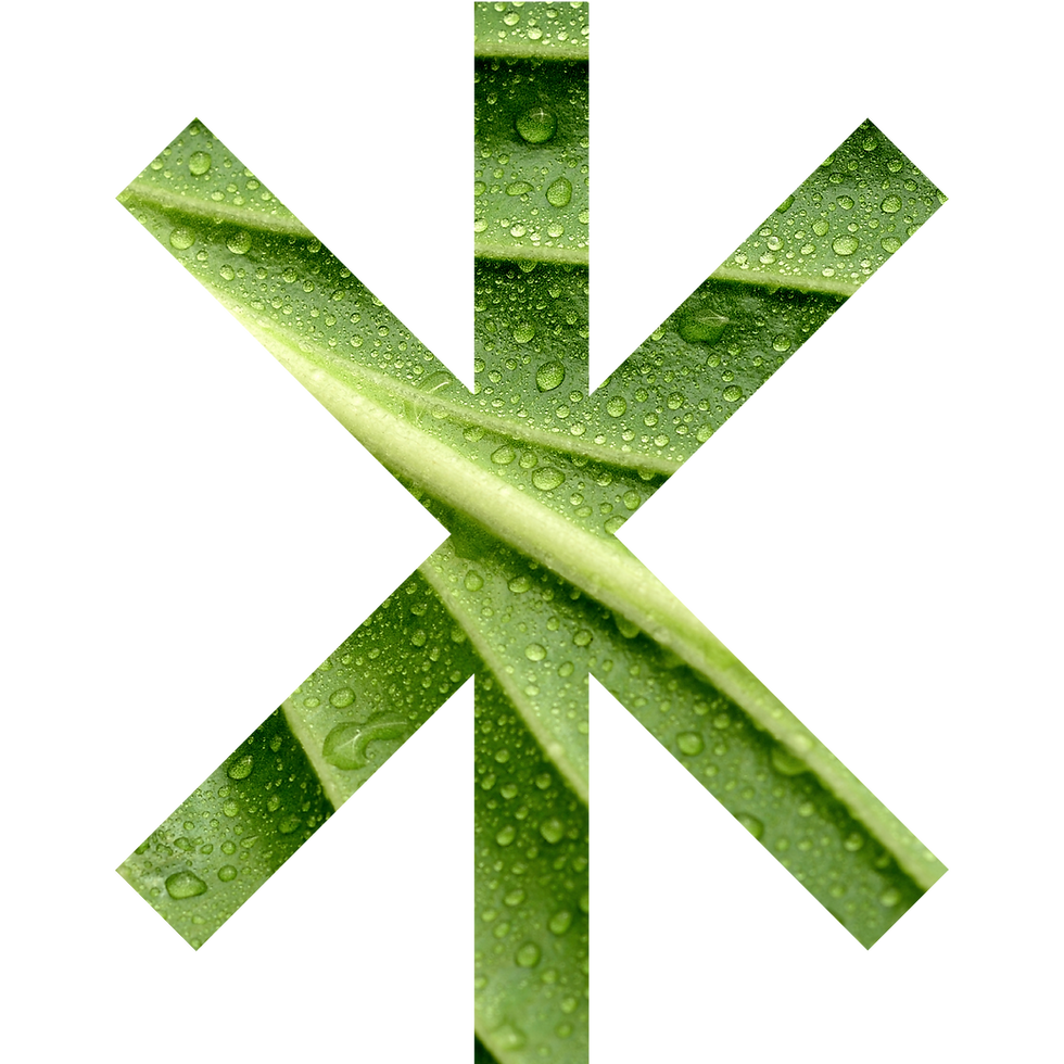 Copy of Geko window imagery4.png