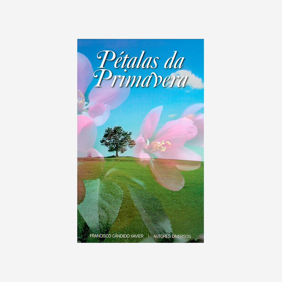 Pétalas da Primavera