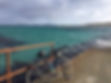 thumbnail_IMG_6897.jpg