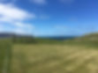 thumbnail_IMG_5682.jpg