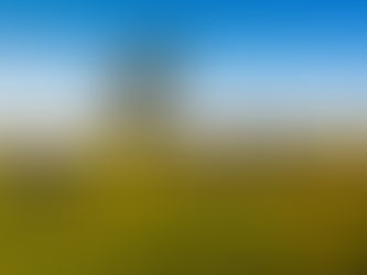 A Dive Into the Civil War - July Book List