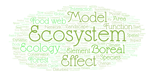WordArt_July2025.png