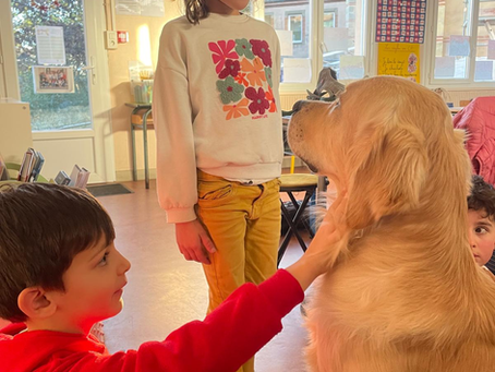 CP : Valon, le chien médiateur présent avec les élèves de CP