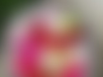 秋の花手水(はなちょうず)です