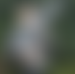 Protecting Your Gun’s Rights