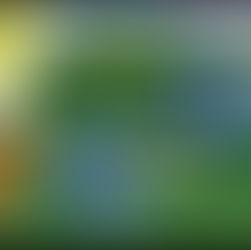 i am a glutton for punishment