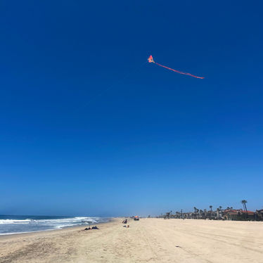 Newport Beach [5.20.25]