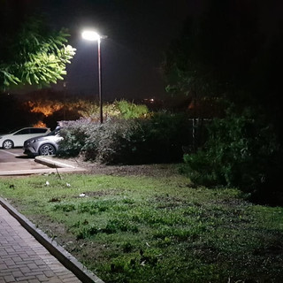 רחבי העיר- מודיעין