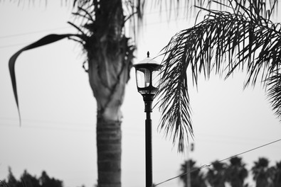 עותק של DSC_6780.JPG