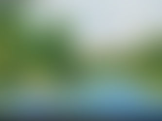 #17 A Dança da Natureza e a Filosofia de Serenidade: Um Olhar Inspirado por Seneca