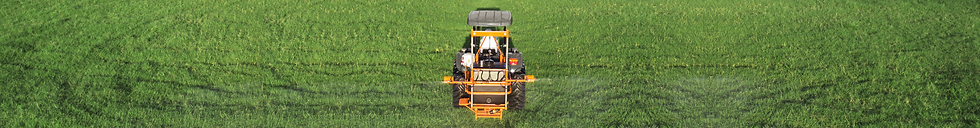 01 PG TÚNEL DO TEMPO.png