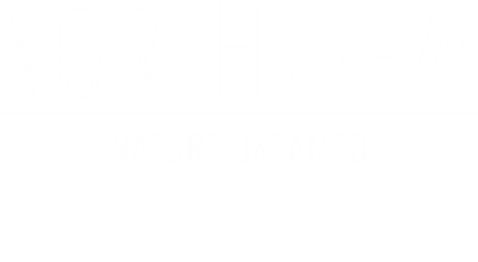 North Sea Title Logo.png