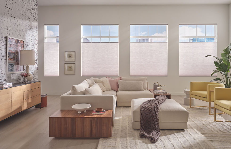 Applause Honeycomb shades with TD_BU