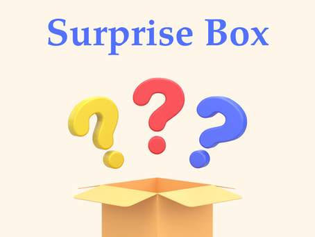 In Need of a Surprise? Introducing The Surprise Box!