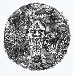 The Mirror of the Myriad