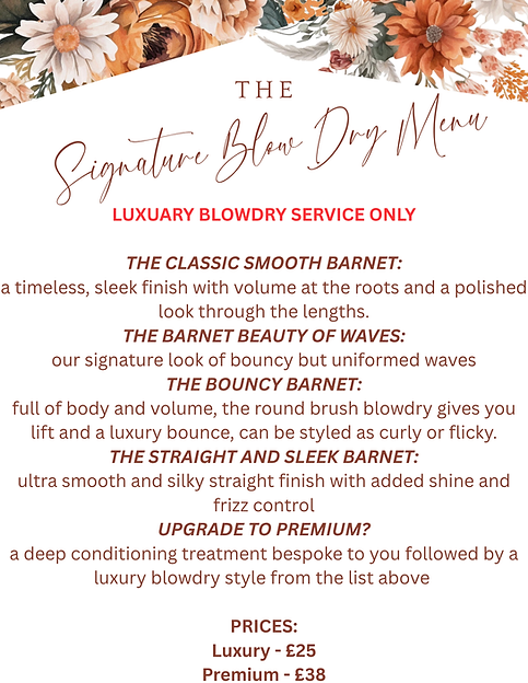 blowdry menu new design.png