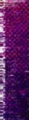 Untitled design (4)_edited.jpg