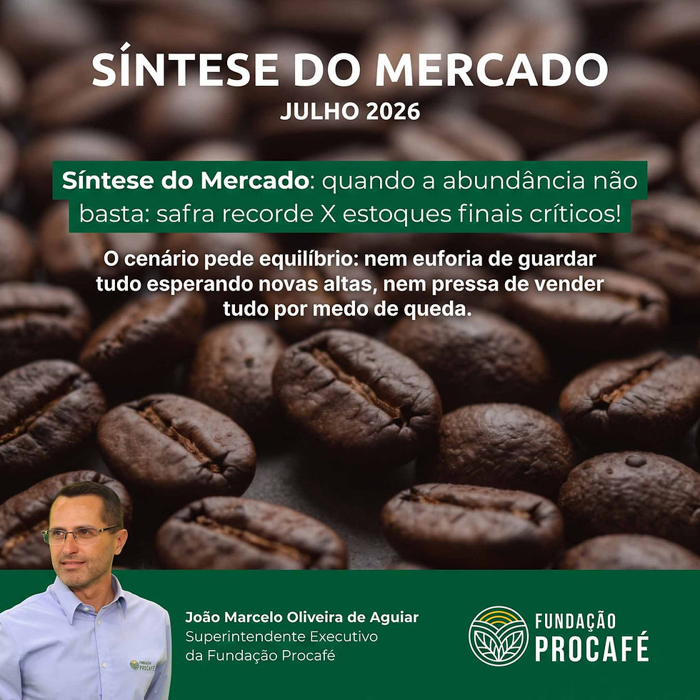 Grãos de café torrados