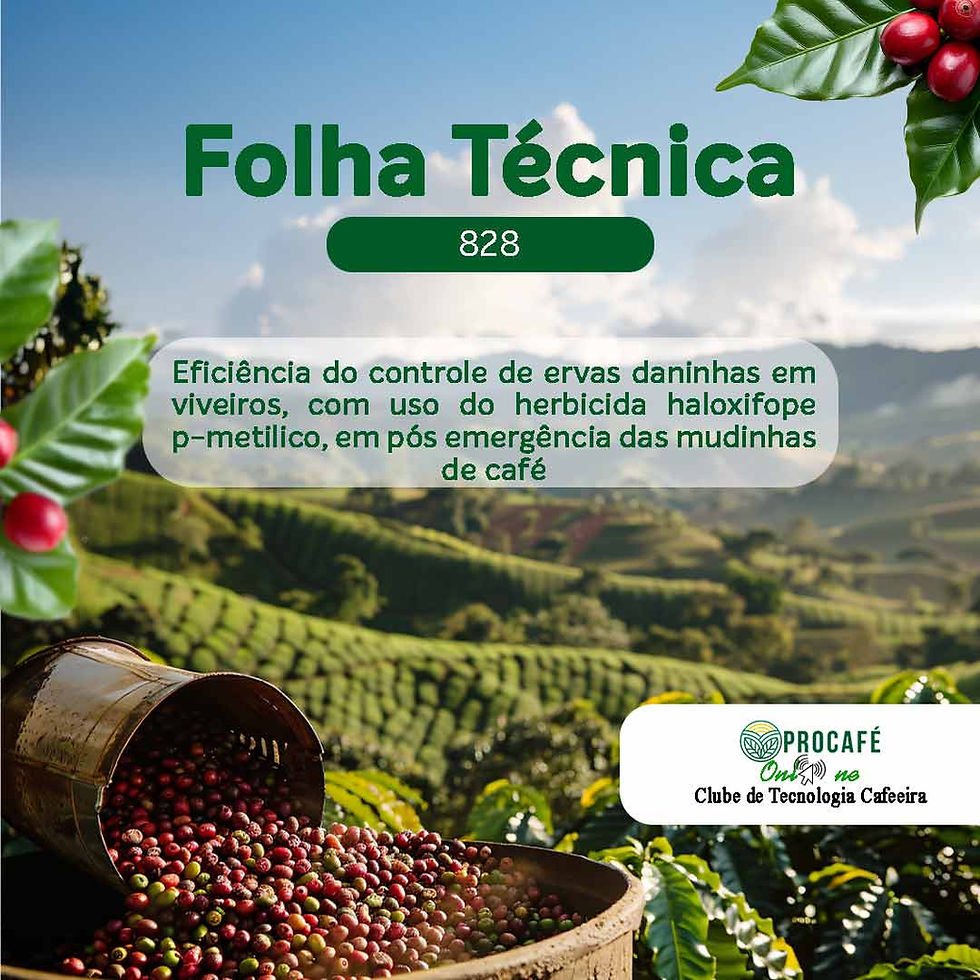 Grãos de café torrados