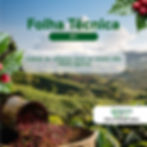 Grãos de café torrados