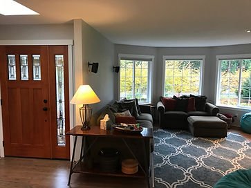 Before design project living room
