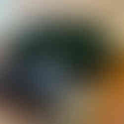 Green velvet sofa and custom blue ottoman Designed by David Gray First and Main Design Market