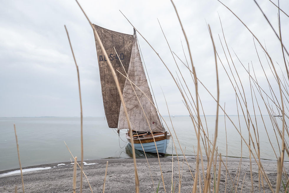 Ein Netzboot / FIscherboot liegt am Strand im Booden von Fischland-Darß-Zingst.