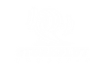 crossfit_sturmflut_logo.png