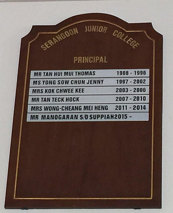 Board 4.jpeg