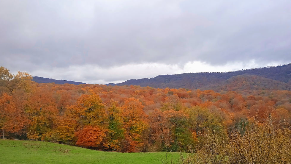 IMG_20221208_120316~4