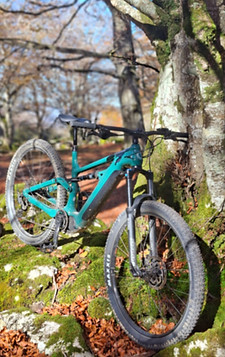 20251103_122537_edited.jpg