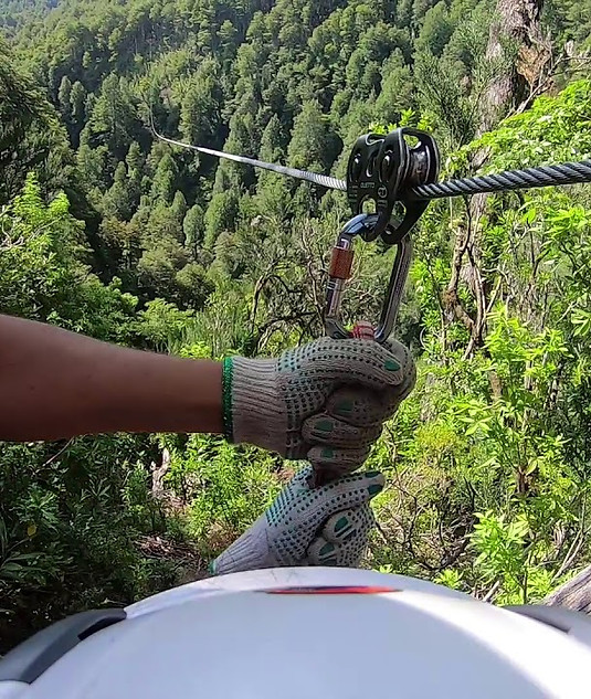 canopy