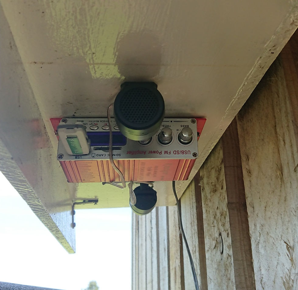 The sounds system - a 12v amp and speakers powered by a battery at floor level