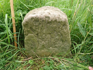 DEFRA in 100 objects
