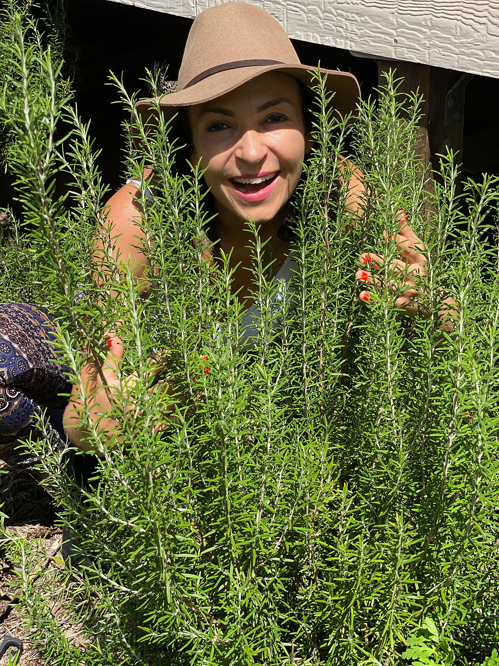 The healing benefits of rosemary. How to Energize Your Body and Spirit . Rosemary clearing and protective shower. Boost energy and mental clarity. Improves skin health. Promotes relaxation. Opens pathways and offers protection. Spiritual protection. Spiritual clearing.