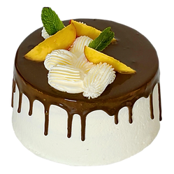 Photoroom_20260630_174453.PNG