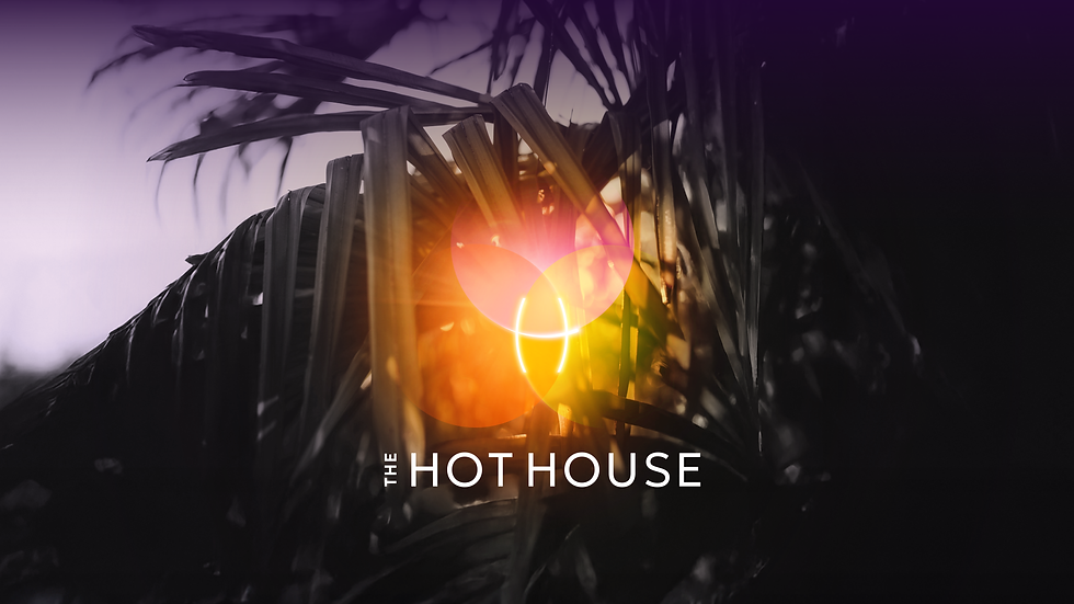THE HOT HOUSE MAIN IMAGE AND LOGO2.png
