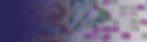 FAQ Housie Bingo Card Money.jpg