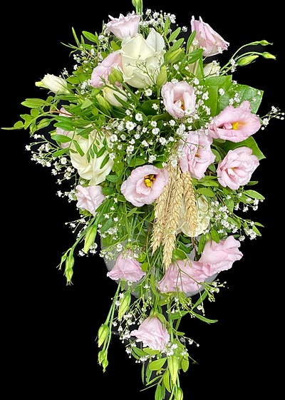 IMG_5921.PNG