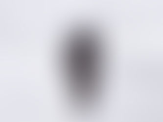 Yellowstone 2025 Trip report