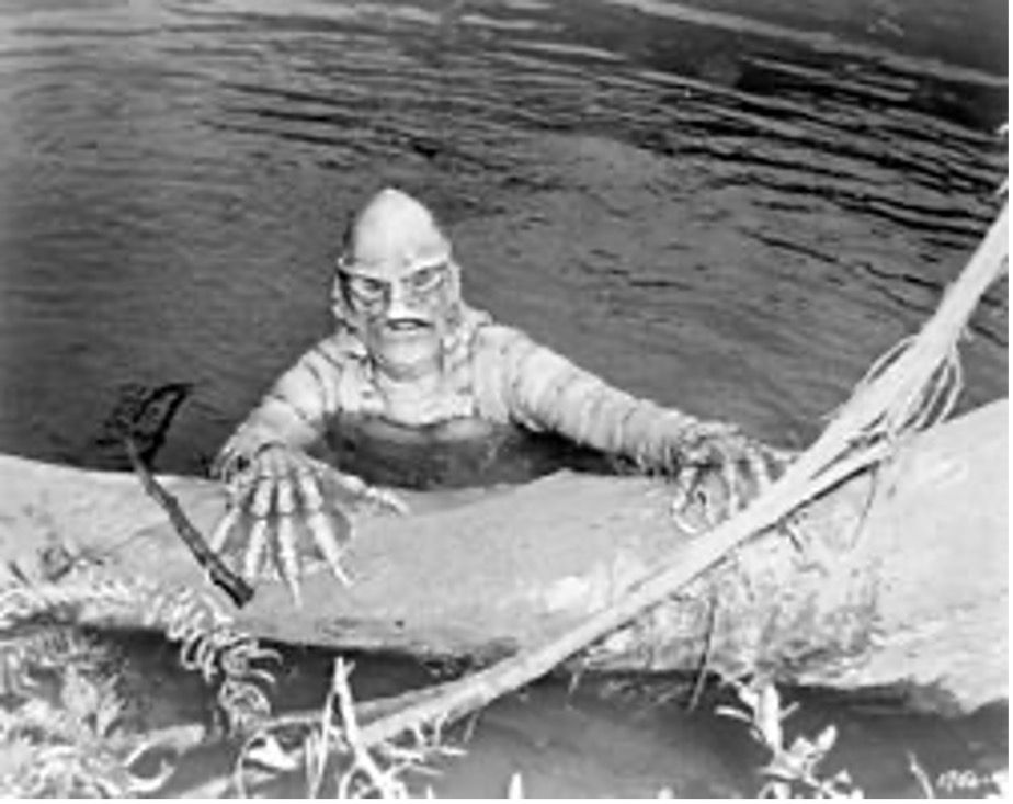 One Humanity: Biology, Race, and a Lesson I Didn’t Know I Needed