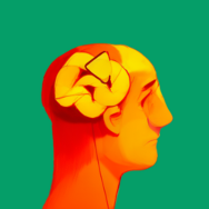 Anti-Vaccination and the Persistence of Misinformation in a World Full of Evidence