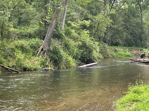 Gunpowder River Report: 7/25/24