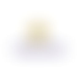 Vimondo GmbH startet durch